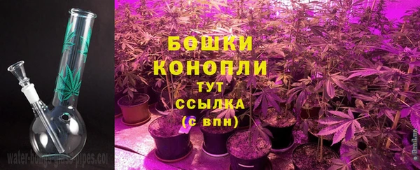 стафф Верея