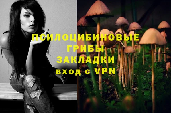 mix Верхний Тагил
